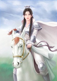 崛起商途之素手翻云